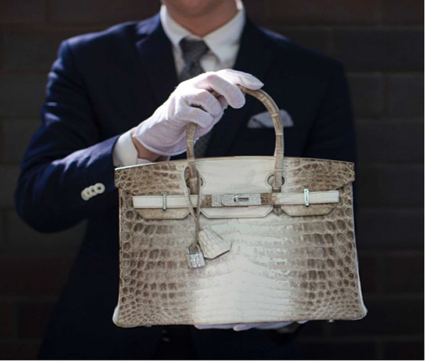 ASTA RECORD DI UNA HERMES BIRKIN BAG SALVA I COCCODRILLI DALL ESTINZIONE MonteCarlo Times